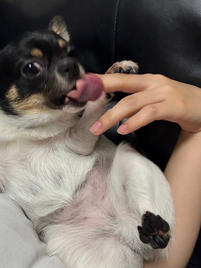 イメージキャラクターりり